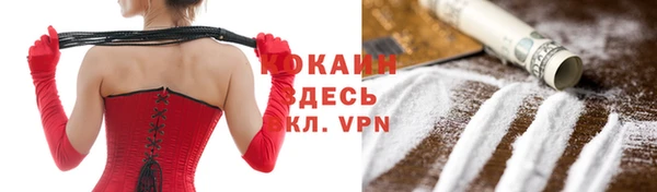 тгк Алексин