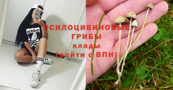 марки nbome Абаза