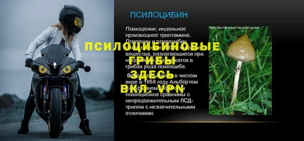 стафф Нязепетровск