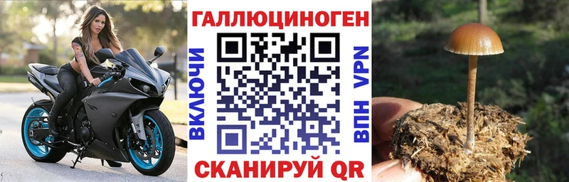 как найти закладки  Чишмы  Галлюциногенные грибы мухоморы 